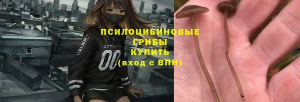 кокс Ладушкин