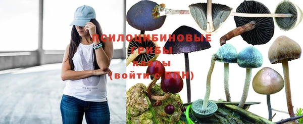 гидропоника Лагань
