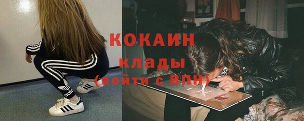 гидропоника Лагань