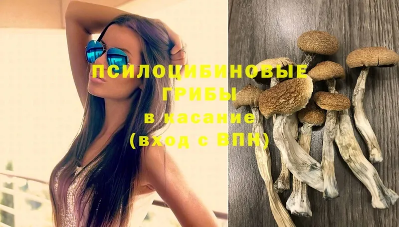 Псилоцибиновые грибы Magic Shrooms  Ступино 