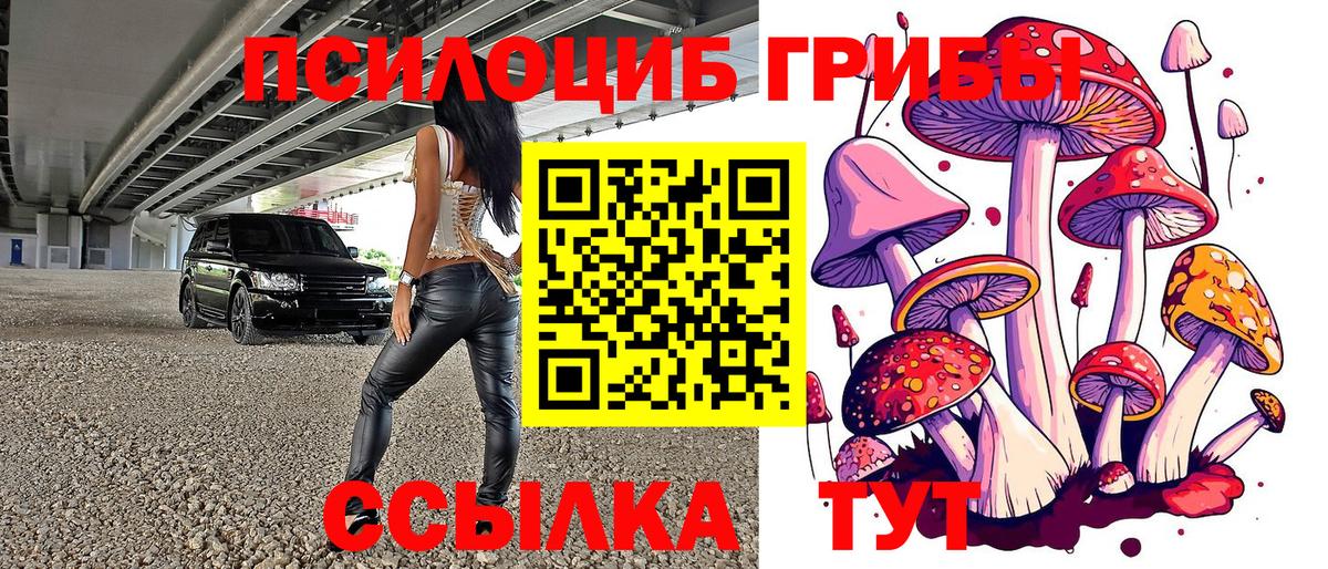 Галлюциногенные грибы MAGIC MUSHROOMS  Вход с VPN  Псилоцибиновые грибы Psilocybe  Ступино 