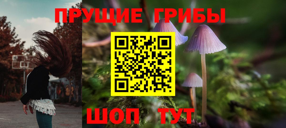 Галлюциногенные грибы GOLDEN TEACHER Ступино