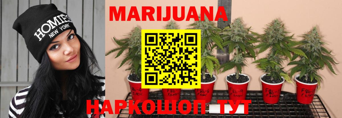 Конопля план Ступино
